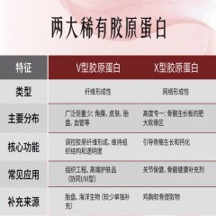 匈牙利LIFETILT原装进口改善关节疼痛延缓软骨退化ESM卵壳膜胶囊
