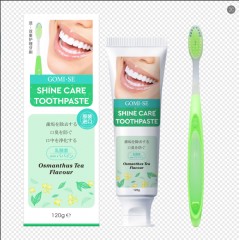 日本原装温和分解牙渍减少齿垢减轻口臭牙膏+双效牙刷清洁组合