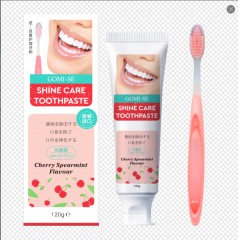 日本原装温和分解牙渍减少齿垢减轻口臭牙膏+双效牙刷清洁组合