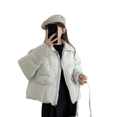 韩系高级感翻领撞色90鹅绒服女2026新款小个子小众短款羽绒服外套