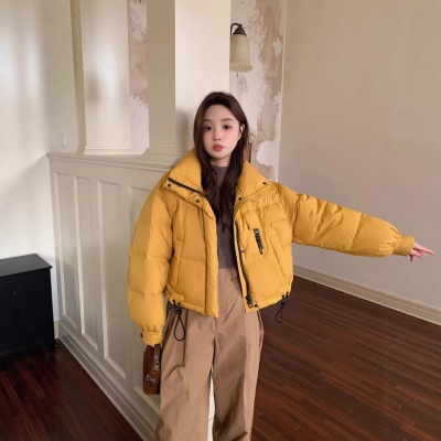 鹅绒服女短款2026新款韩版立领简约加厚小个子超好看面包服外套潮